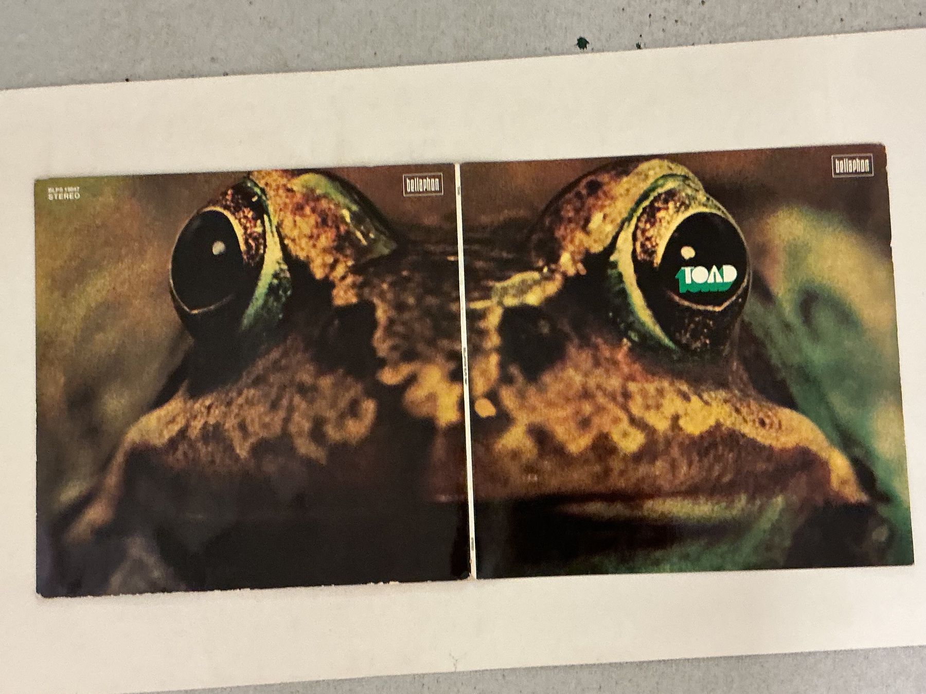 Schallplatten: Toad LP❗️EXTREM RARE❗️LP NM- – Gebraucht aus Winterthur von Tumko-Vinyl