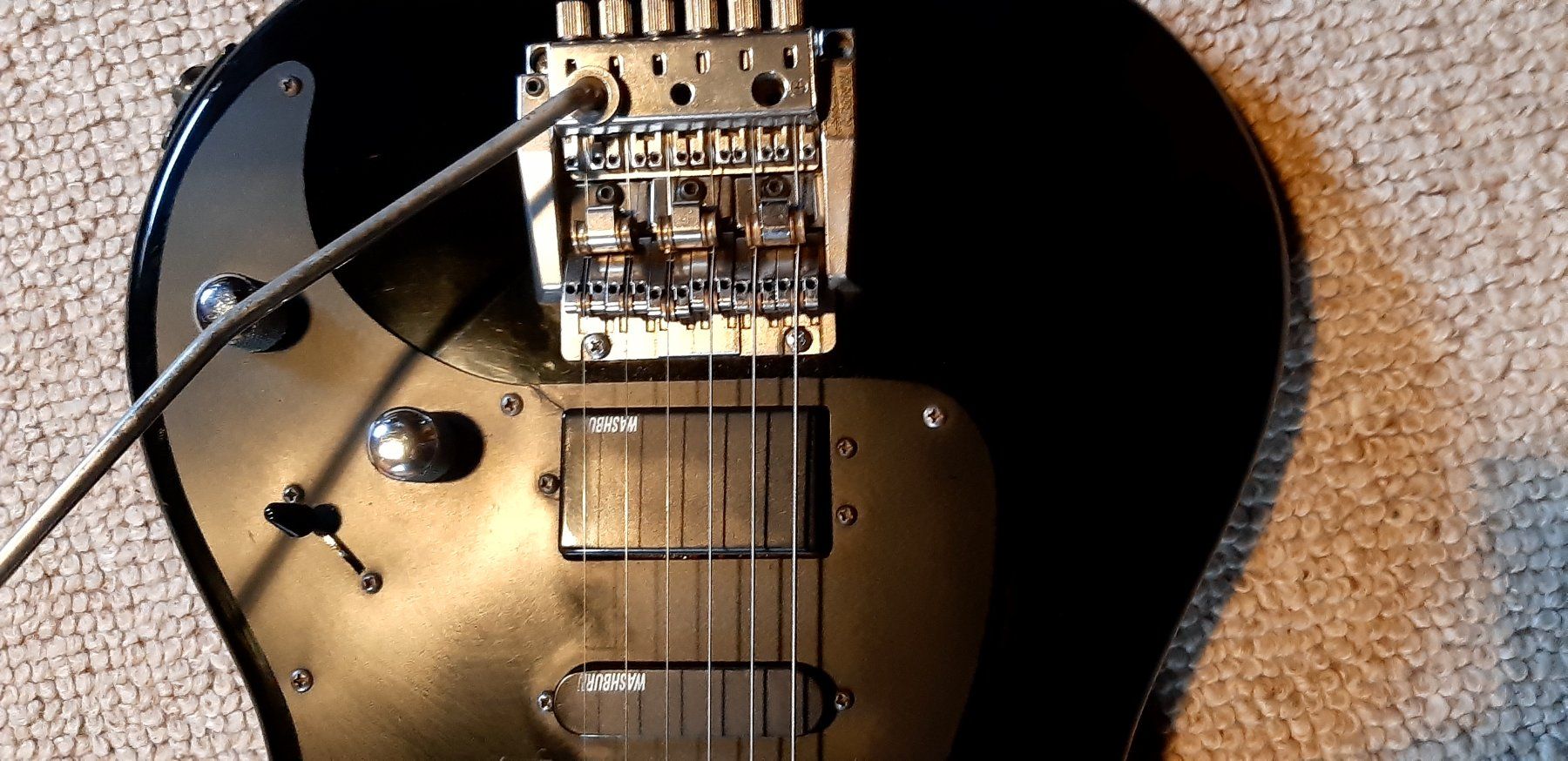 Washburn Strumenti musicali: Washburn 2GV – Usato da Solothurn venduto da Exon 1