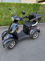 Seniorenmobil Salve 4000 SE, 500 W, 20 km/h