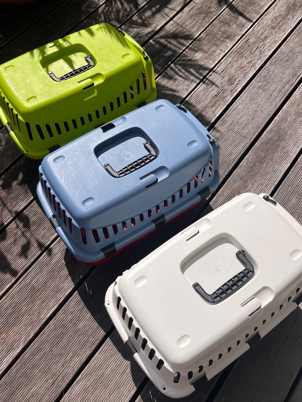 Gabbie, trasporto & Sicurezza: Kleintiertransportbox – Usato da Wettingen venduto da haagli68 4