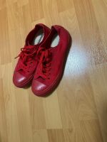 Converse Rot Alt Stars