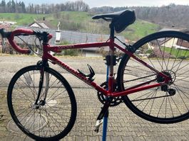 Rennrad Argon 18 Xenon, Junioren, Top Zustand