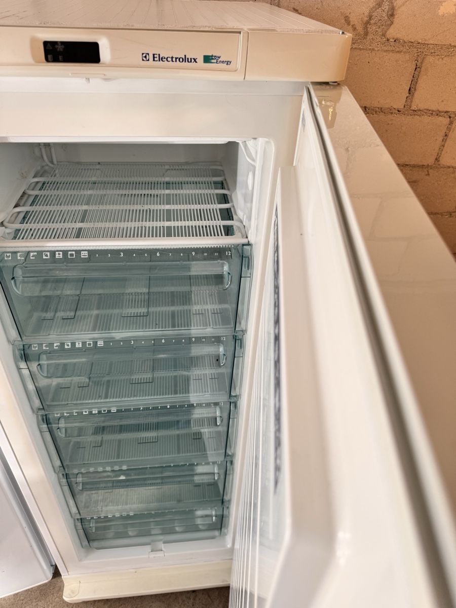Congelatori: Gefrierschrank Electrolux Energy low – Usato da Horw venduto da dancav 2