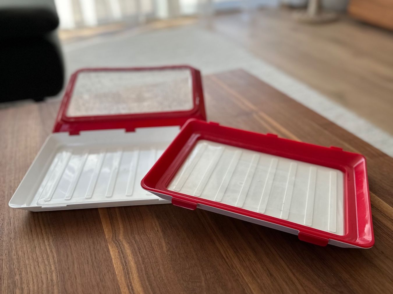 Contenitori & Simili: Frischhaltesystem - Clever Tray - 2 Stk. – Usato da Märstetten venduto da fab_wf2v