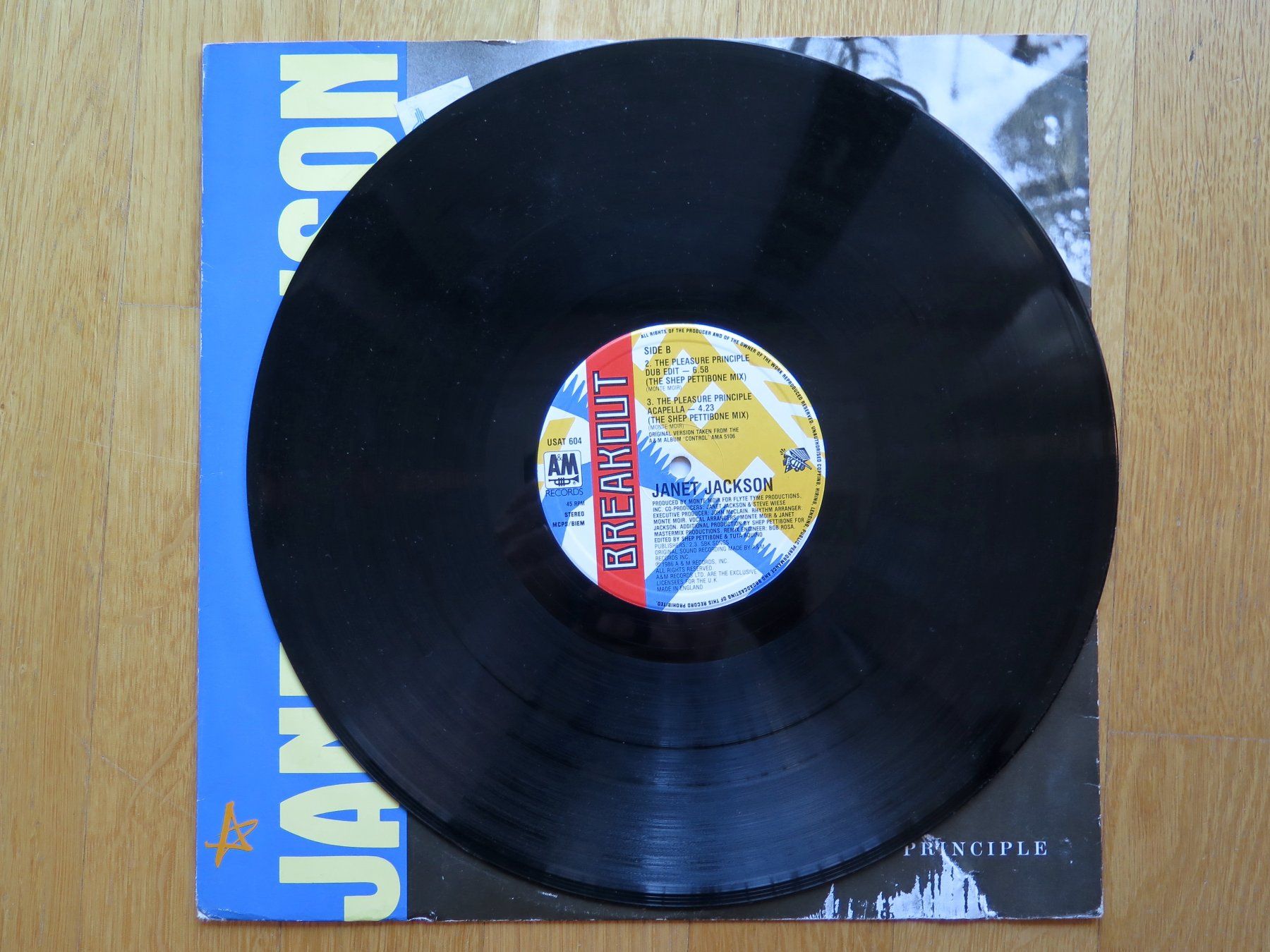 Dischi in vinile: Maxi-Single JANET JACKSON: The pleasure principle, 1986 – Usato da Bern venduto da Balzamico 3