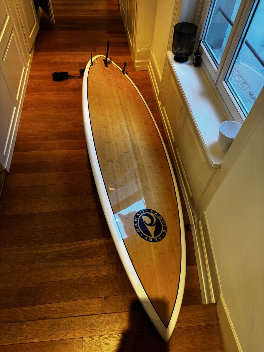 Tavole da surf e di nuoto: Stand Up Paddleboard (SUP) designes by Blane Chambers – Usato da Zürich venduto da kat_gdr7 3