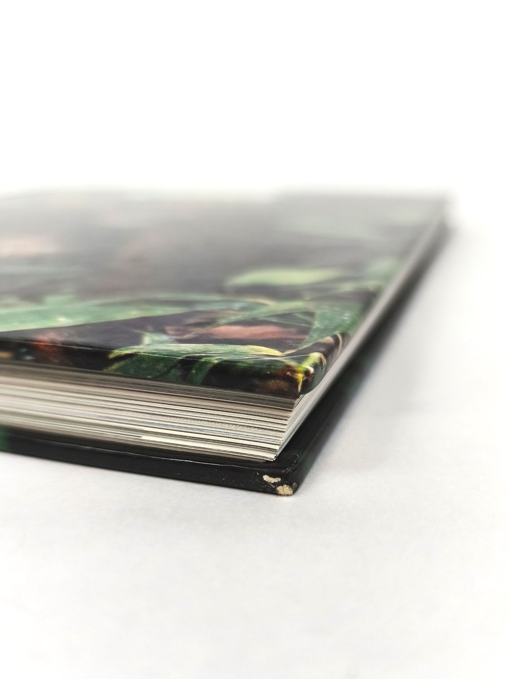 Bücher: BUCH Tiere der Regenwälder – Gebraucht aus Schaffhausen von Restwert_SH 4