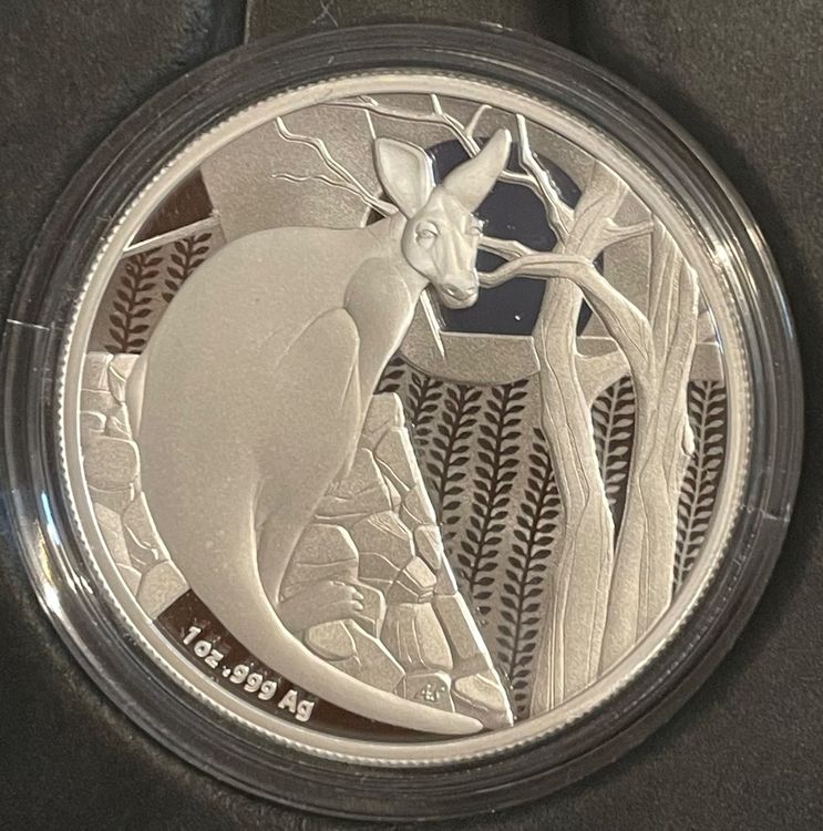 Verzauberte Eule 1oz Silbermünze - Mystischer Wald Design Von Arverni Mint