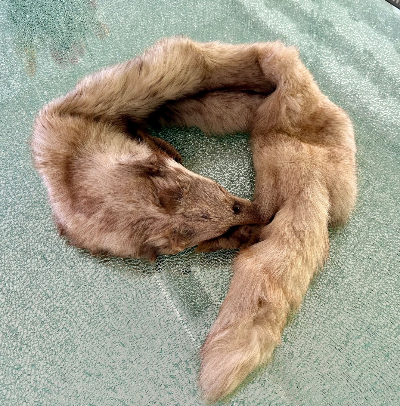 Foulard & Sciarpe: Luxuriöse Silberfuchs Stola – Usato da Muttenz venduto da wyhaegli 3