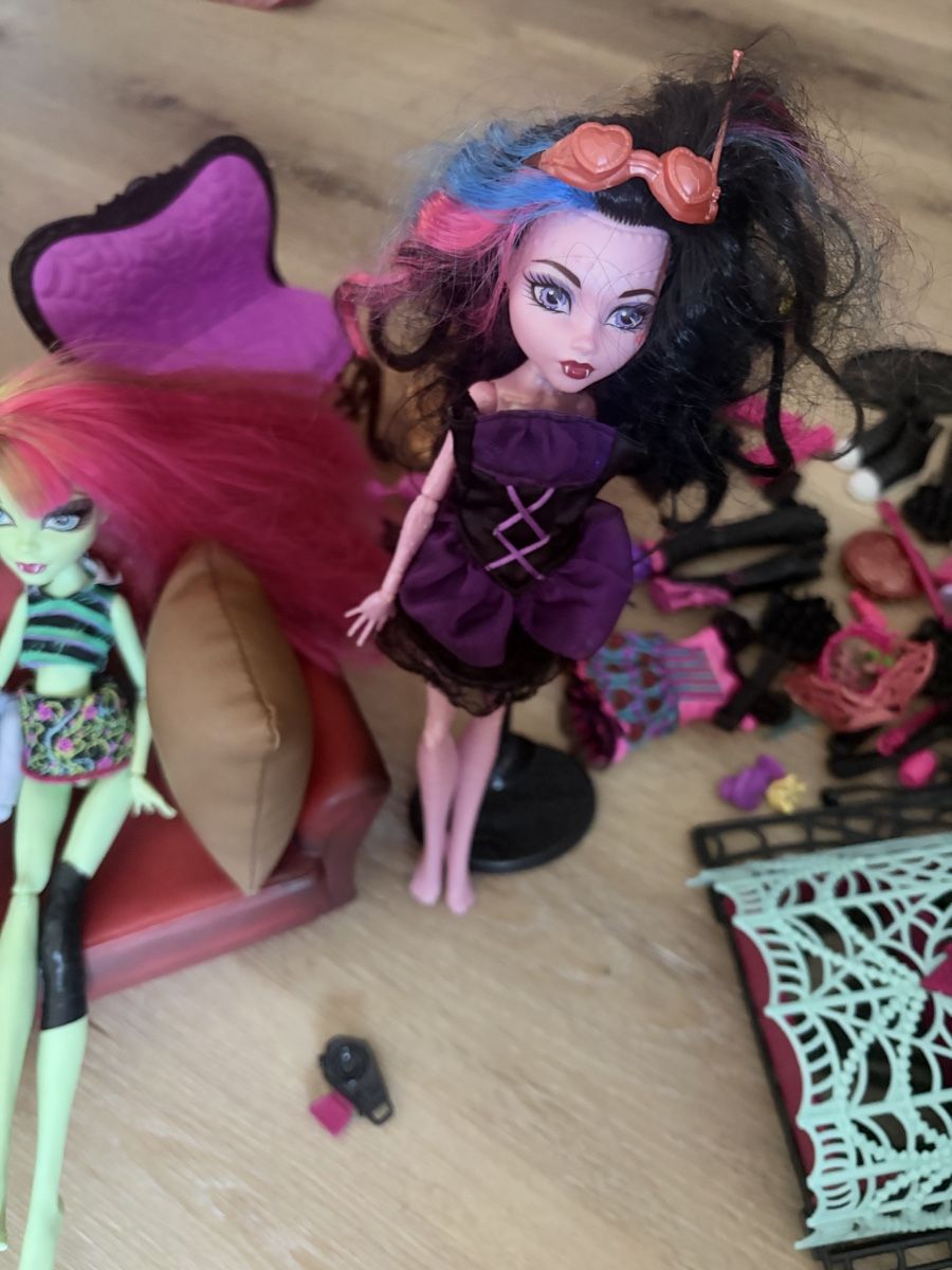 Bambole: Monster High Puppen plus Zubehör  – Usato da Rüti ZH venduto da Butterfly206cc 5