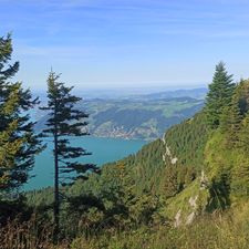 Profile image of swiss2023