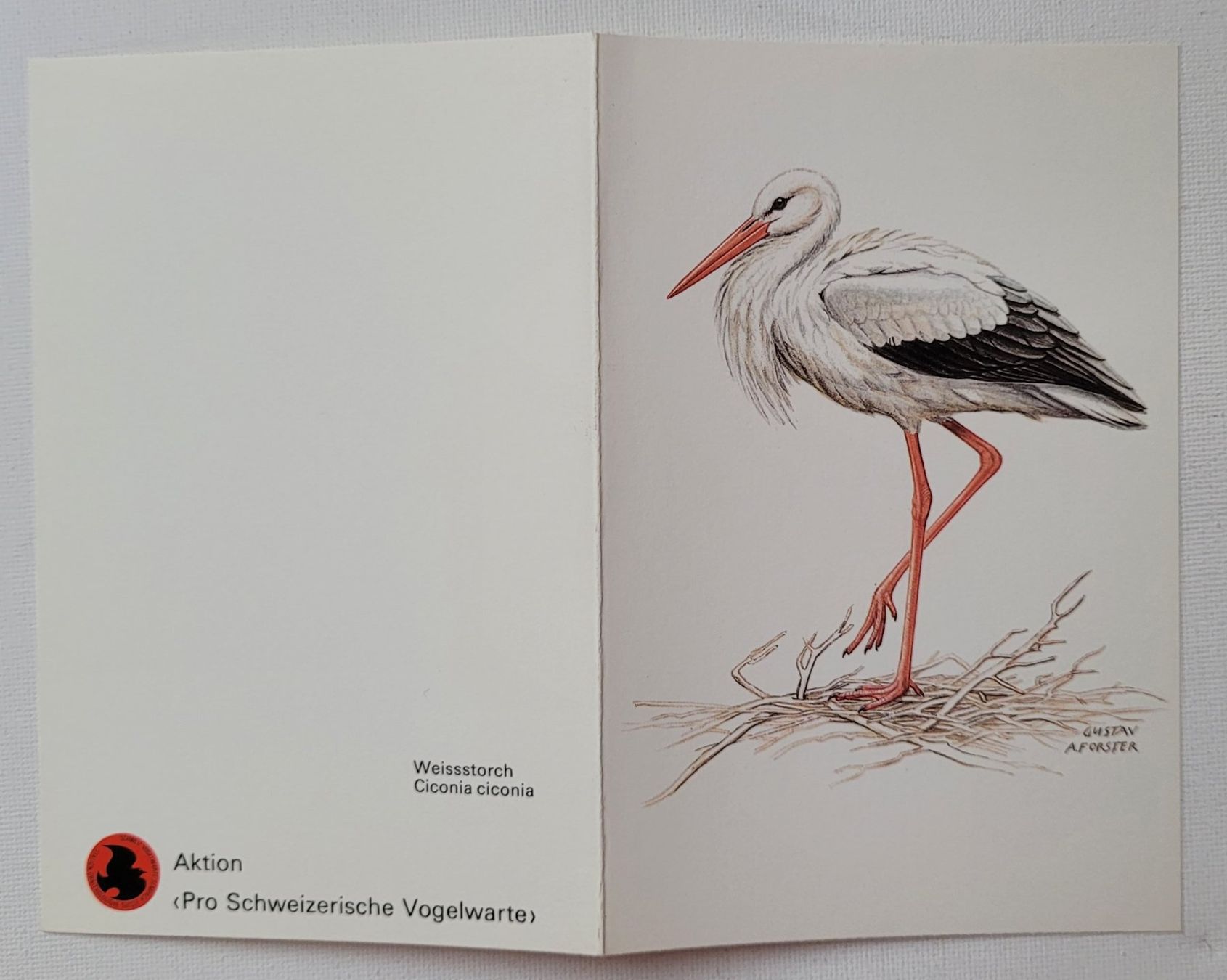 Cartoline postali: STORCH – Nuovo (secondo la descrizione) da Neftenbach venduto da Mador6 2