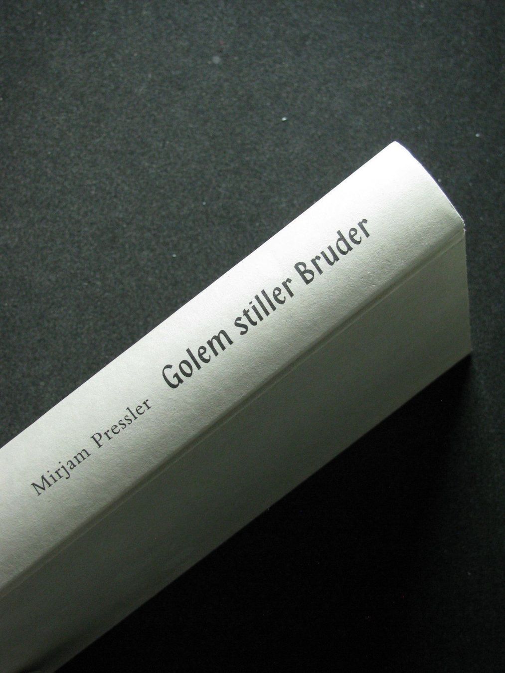 Libri: M. Pressler Golem stiller Bruder – Usato da Reitnau venduto da Zaomir