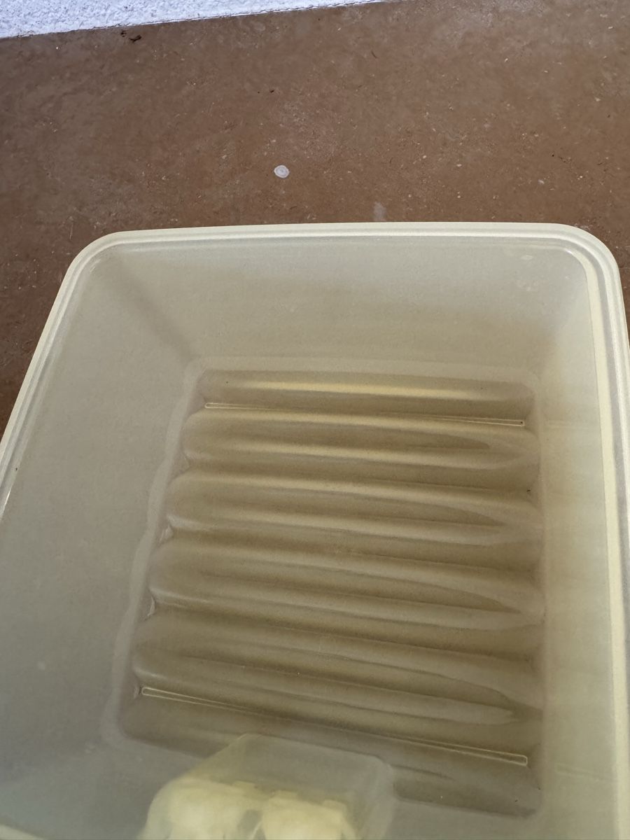 Tupperware Contenitori & Simili: FridgeSmart Tupperware – Nuovo (secondo la descrizione) da Montsevelier venduto da ber_88db 2