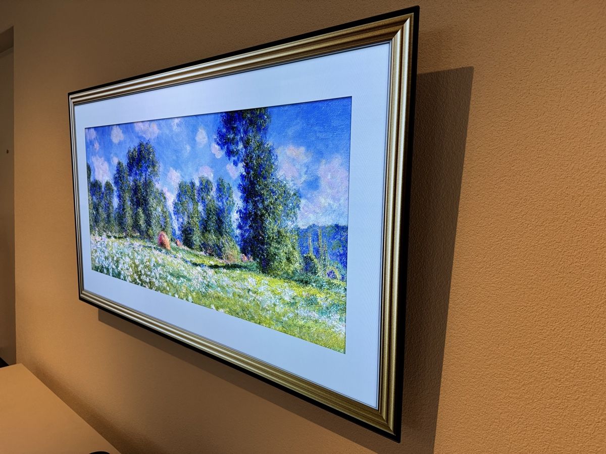 Televisori: LG OLED TV – Usato da Elsau venduto da cali311 1