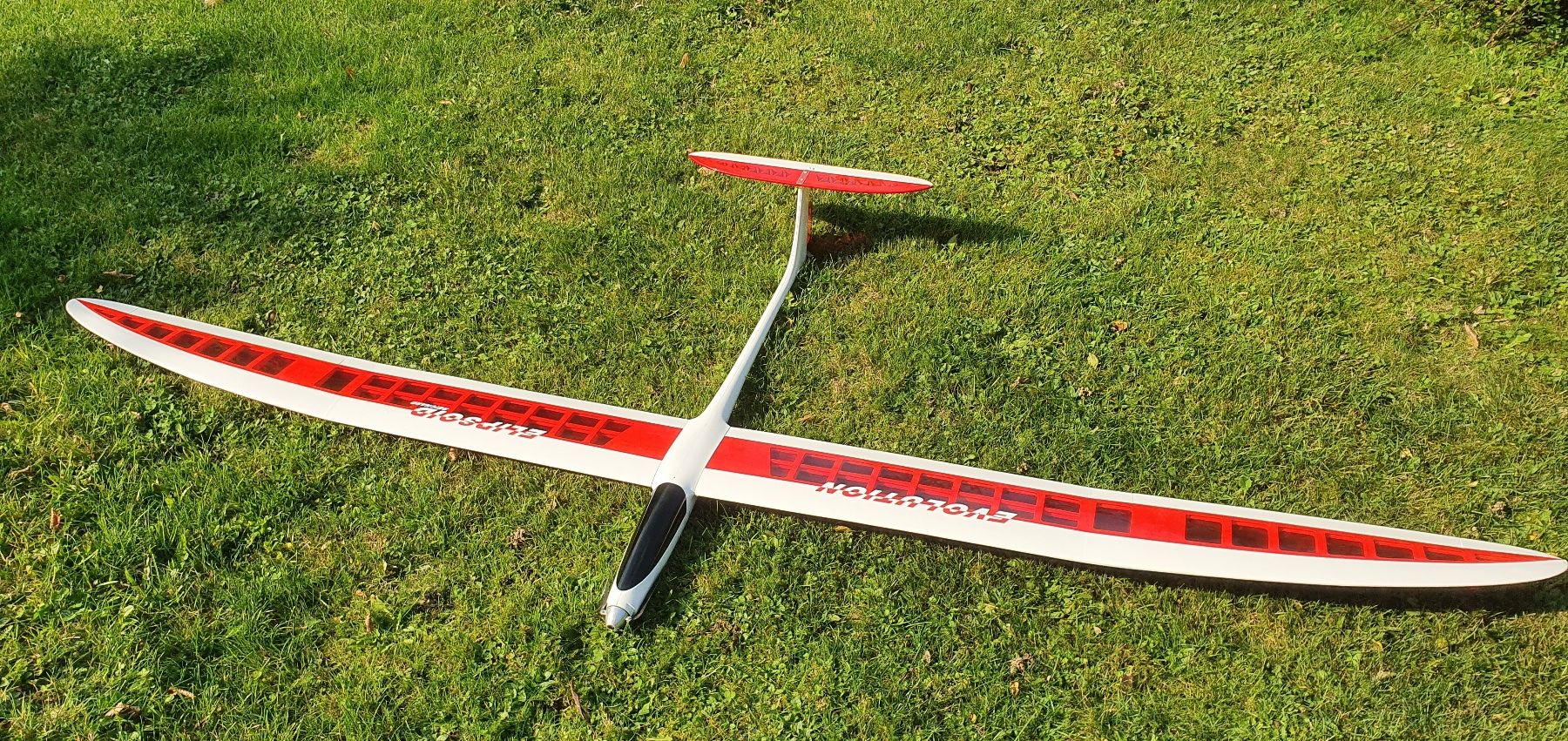 Modellismo RC: Elipsoid Evolution Elektrosegler – Usato da Herisau venduto da Magoeldi