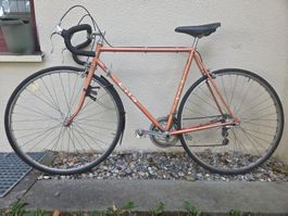 Cilo Swiss Velo