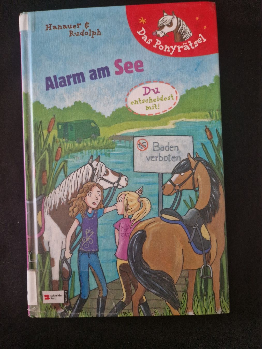 Bücher: Das Ponyrätsel – Neu (gemäss Beschreibung) aus Schmidrüti von triggi 2