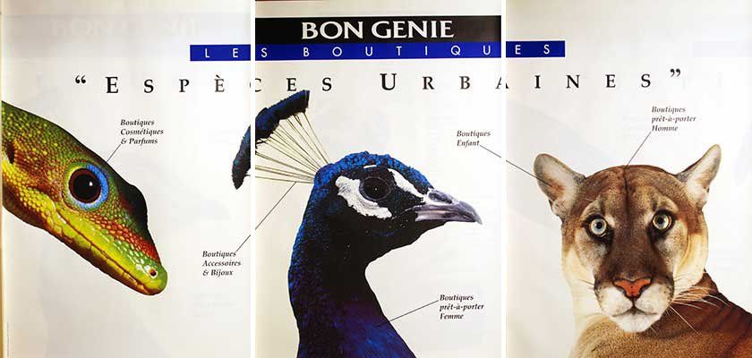 Foto & Immagini: Städtische Vielfalt / Espèces Urbaines – Nuovo (secondo la descrizione) da Bern venduto da Vintage-Art-Poster