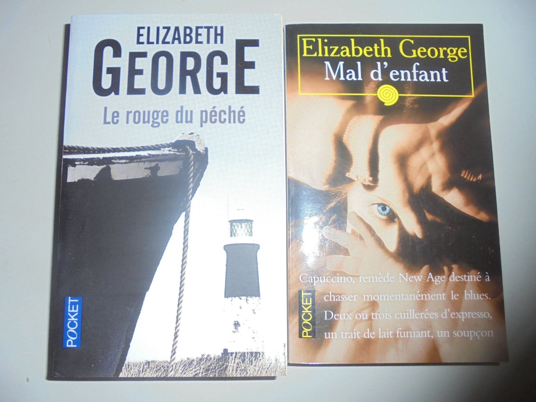 Libri: 9 romans de Elizabeth GEORGE – Usato da Crissier venduto da Promopost 2