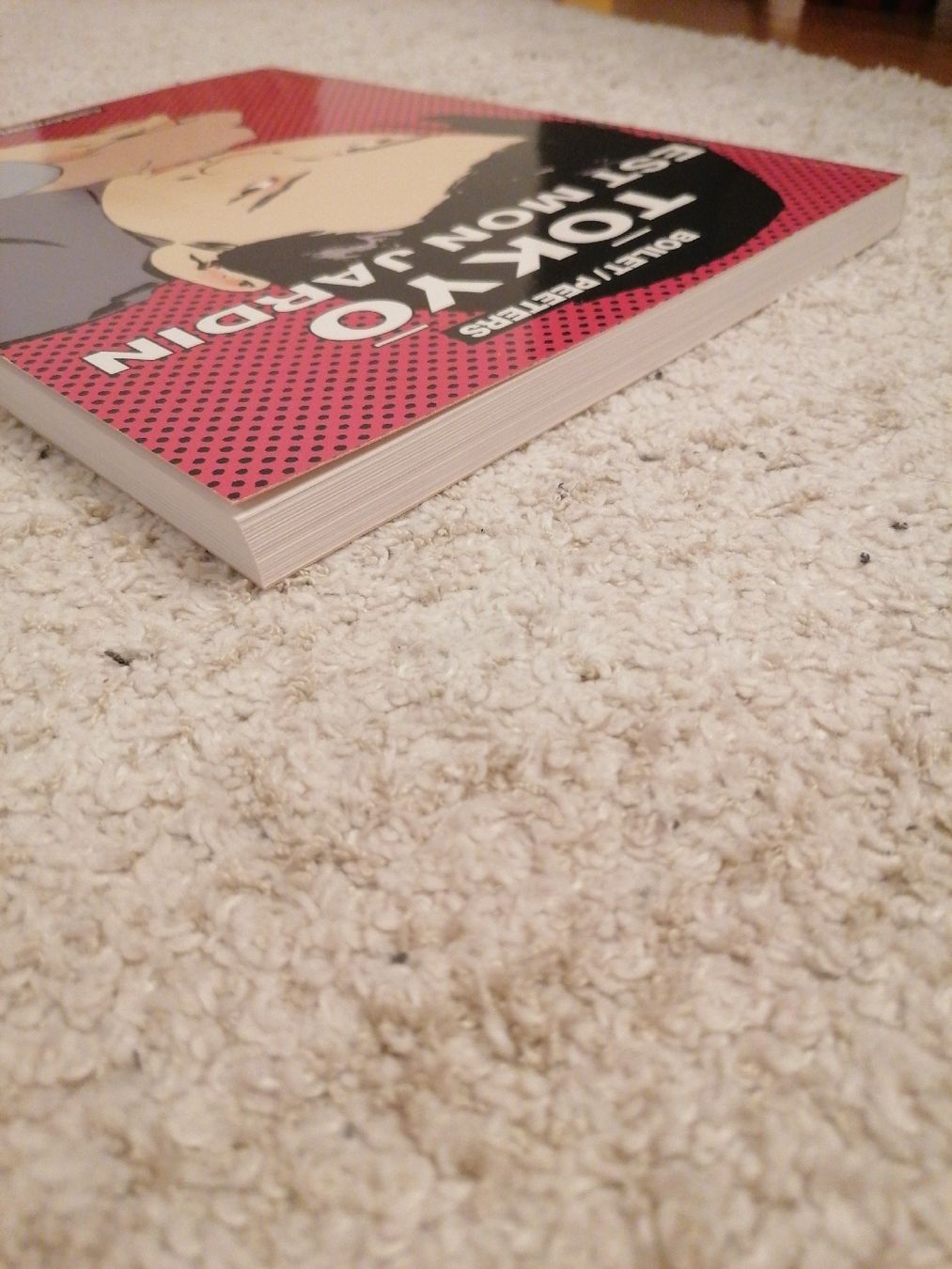 Comics: David Martin T2 EO TBE – Gebraucht aus Bougy-Villars von Vogue 3