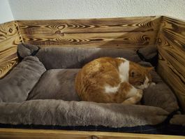 Hundekuschelbett braun von Freezack mit Randoption