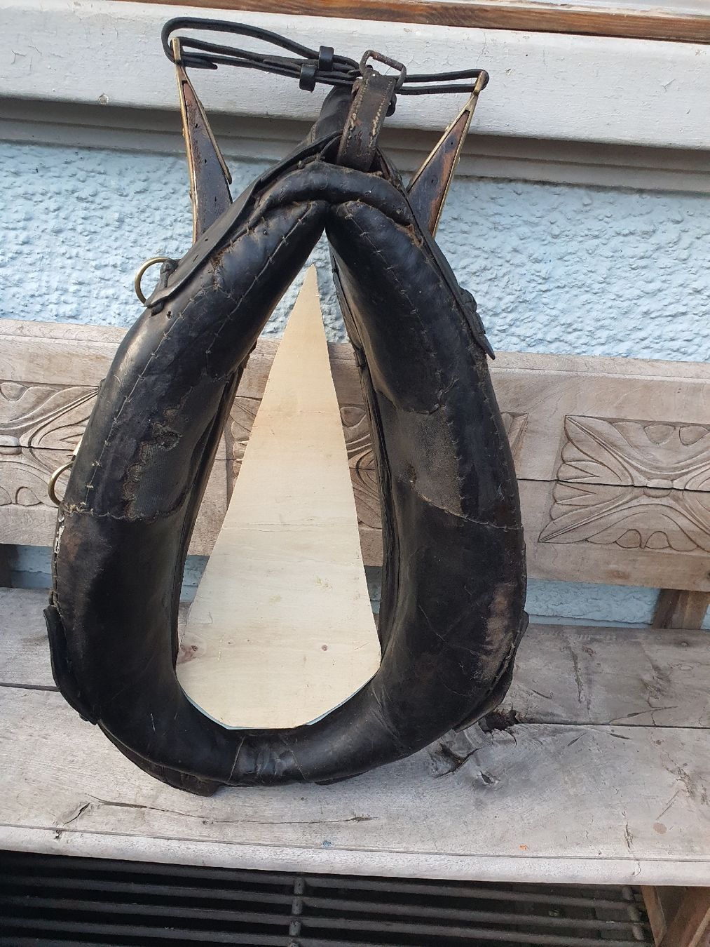 Briglie & Cavezze: Pferde Kommet – Usato da Wangen b. Olten venduto da Hecht62xyz 4
