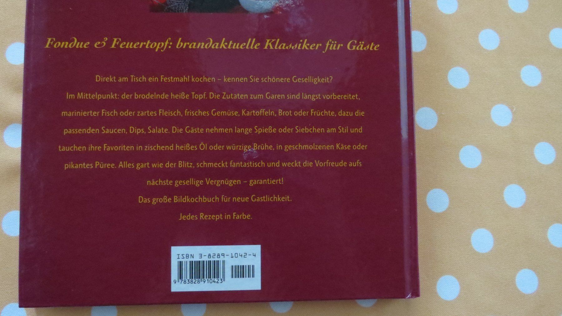 Libri: Fondue & Feuertopf, Bechtermünz Verlag – Nuovo (secondo la descrizione) da Glattbrugg venduto da Radio98 3