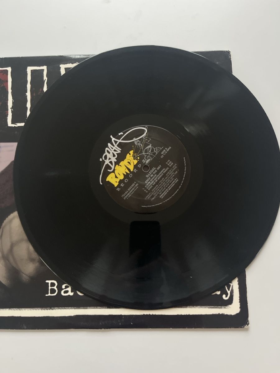 Dischi in vinile: ILLEGAL Back In The Day 12" Vinyl – Usato da Bottighofen venduto da gjetzerch 3