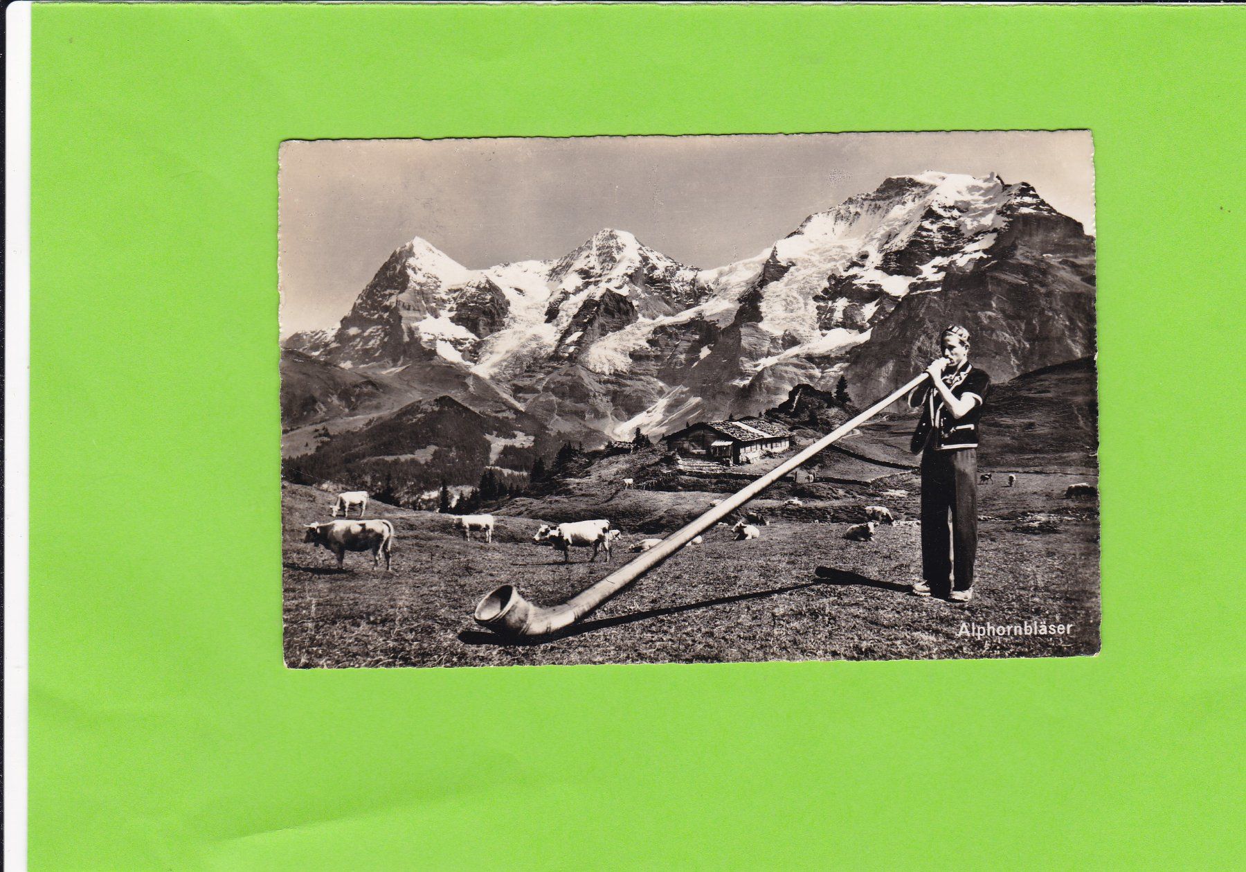 Cartoline postali: Alphornbläser--ab Gunten – Usato da St. Peterzell venduto da neckertal