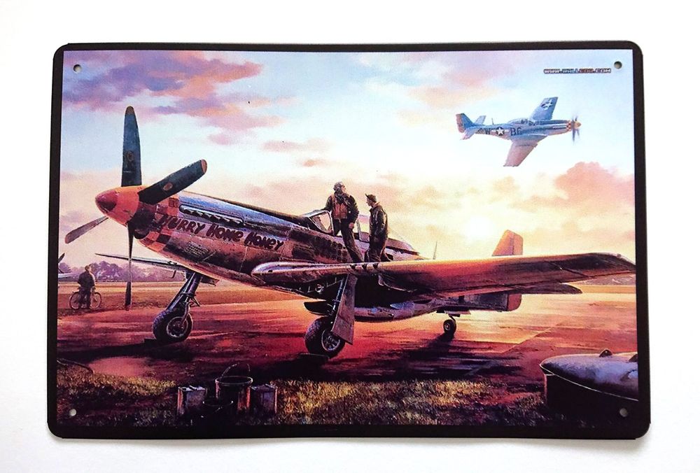 10190-20x30 cm -Plaque de bière en métal Vintage, Plaque en étain