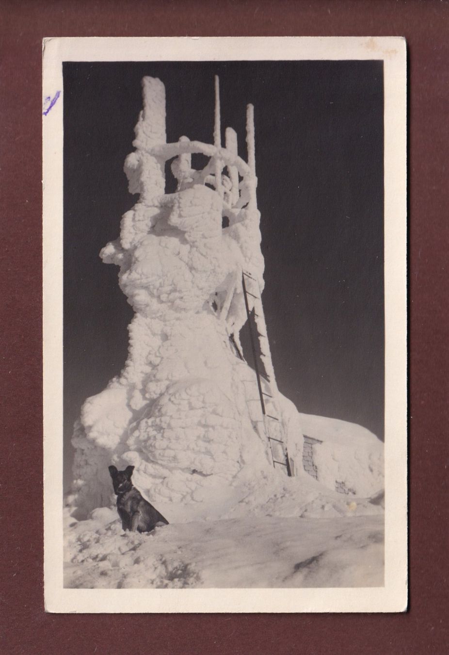 Cartoline postali: SÄNTIS - hund - 1924 – Usato da Pully venduto da nicecards