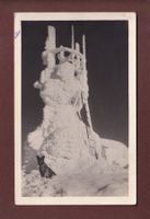 SÄNTIS - hund - 1924