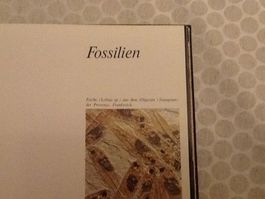 Fossilien Nelly Bariand, Daniel Pajaud(Kosmos)