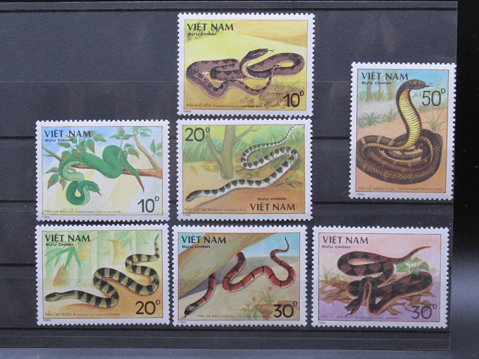 Tutti i francobolli: Vietnam 1989 Giftschlangen ** – Usato da Wil SG venduto da fva01