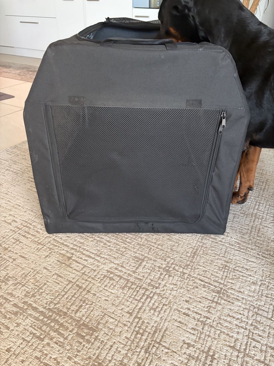 Cucce & Letti: Transportbox Anione Hunde – Usato da Glattbrugg venduto da beccihw 7