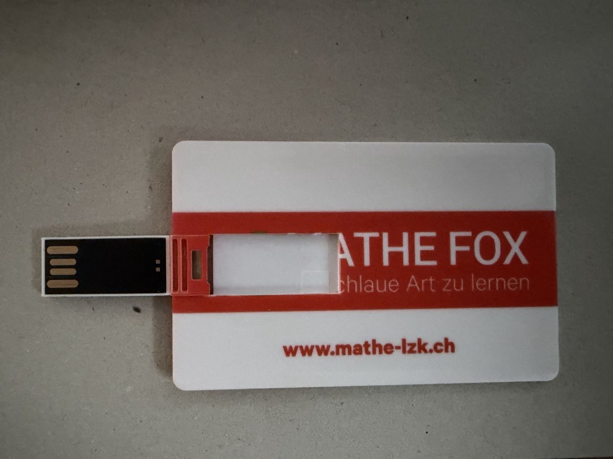 USB Sticks: Mathe Fox 3  – D'occasion à Zürich par MoralEntrepreneur 2