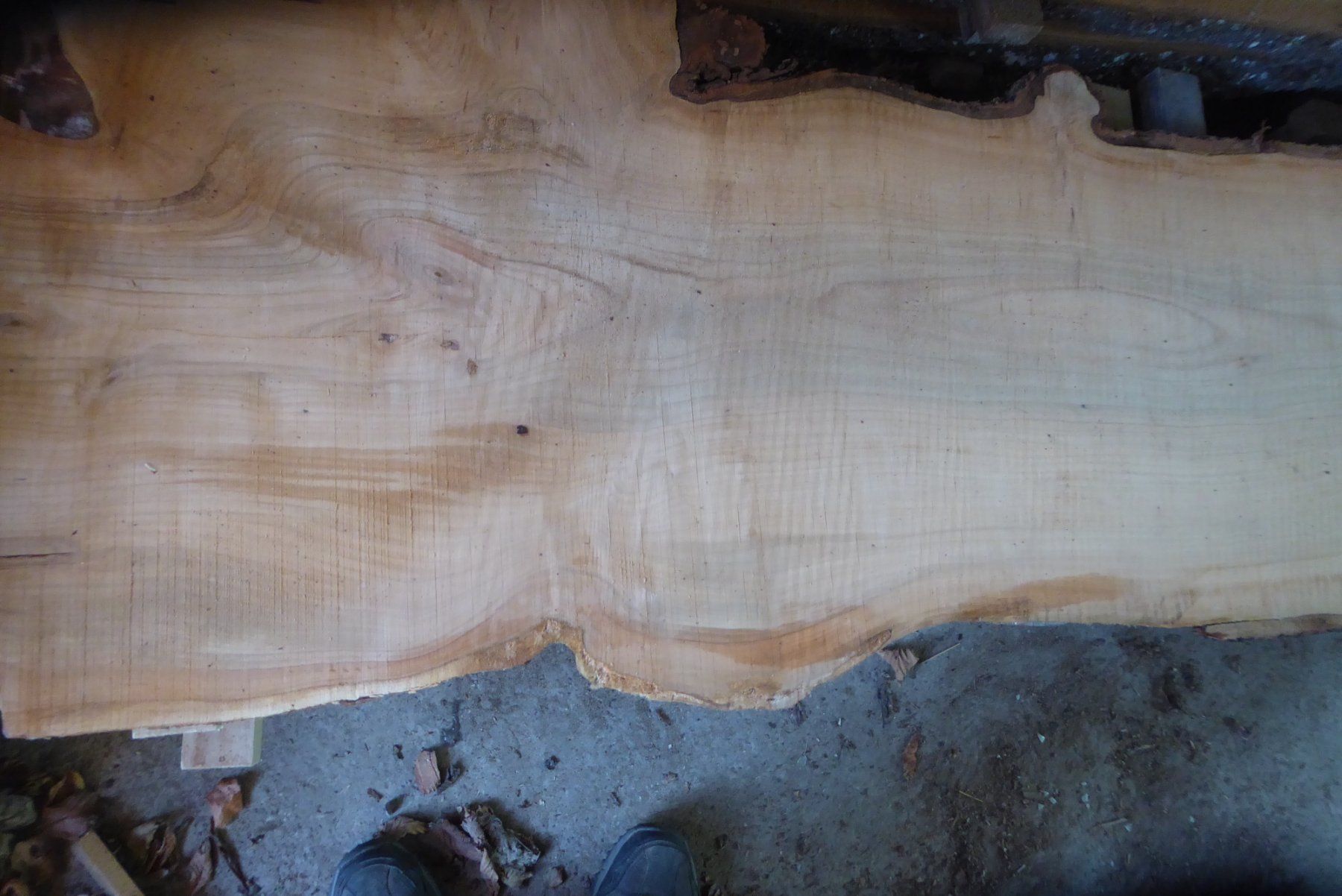Articoli in legno: Kirschbaumbretter 30 mm – Nuovo (secondo la descrizione) da Sumiswald venduto da Hennri1 3