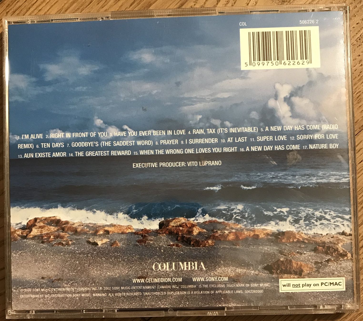 CD: CD- Celine Dion - A New Day Has Come – Usato da Guntershausen venduto da Gloominati 1