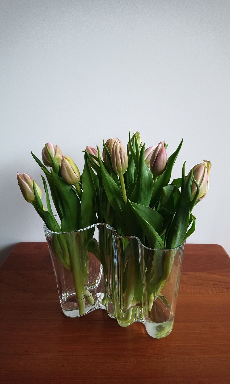 Iittala Vasi & Recipienti: Alvar Aaltos "Savoy" 3030 von Iittala – Usato da Worblaufen venduto da AINO-room