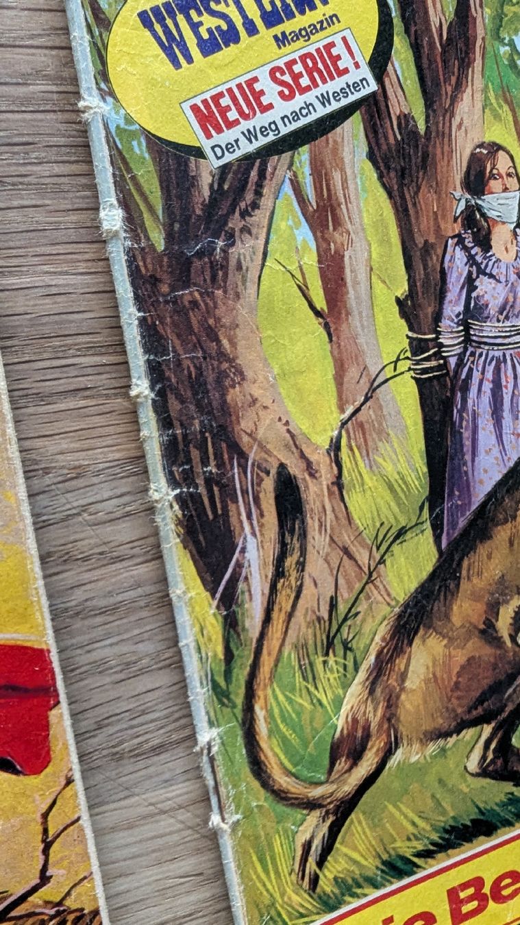 Fumetti: Buffalo Bill Comic 300er Serie – Usato da Rupperswil venduto da Svelos 3