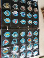 Grande collection opercules Cremo avec album complet