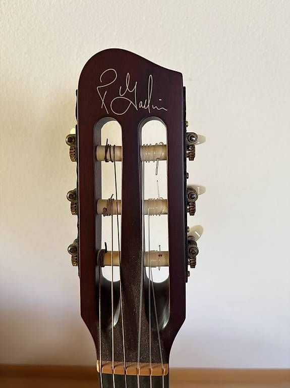 Instruments de musique: Godin Multiac Nylon – D'occasion à Brügg BE par Mathys1 2