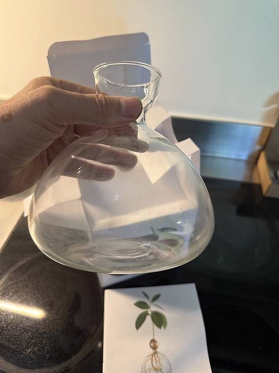 Vase & Récipients: Avocado Vase – D'occasion à muttenz par Ricardania 2