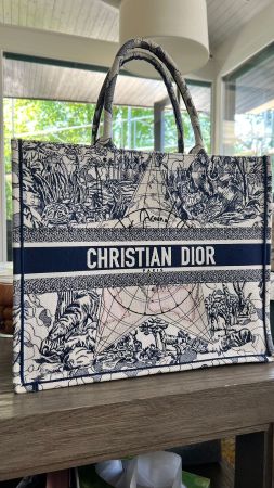 Christian Dior Canvas Embroidered Around The World Large