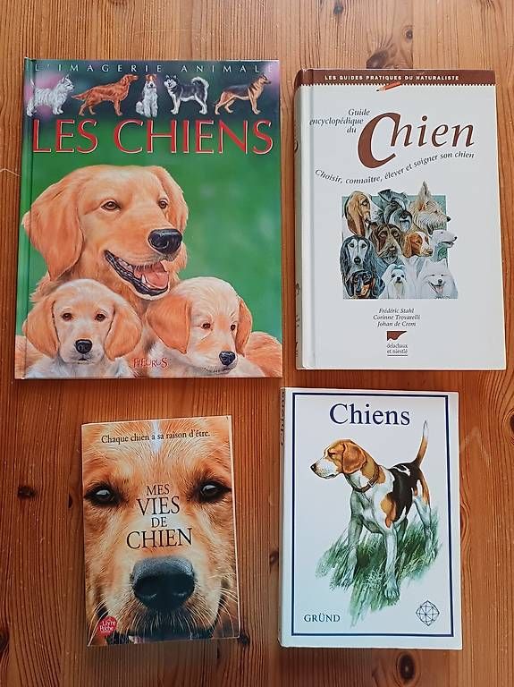 Livres: Divers livres sur les chiens – D'occasion à Cheyres par ano_qm8b