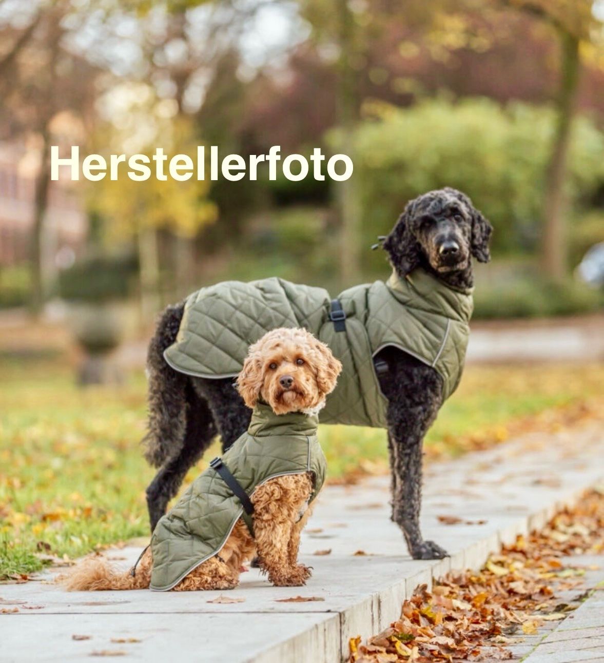 Trixie Abbigliamento: Hundemantel Winter Gr. 45 – Nuovo (secondo la descrizione) da Niederbüren venduto da Hudi_1974 2