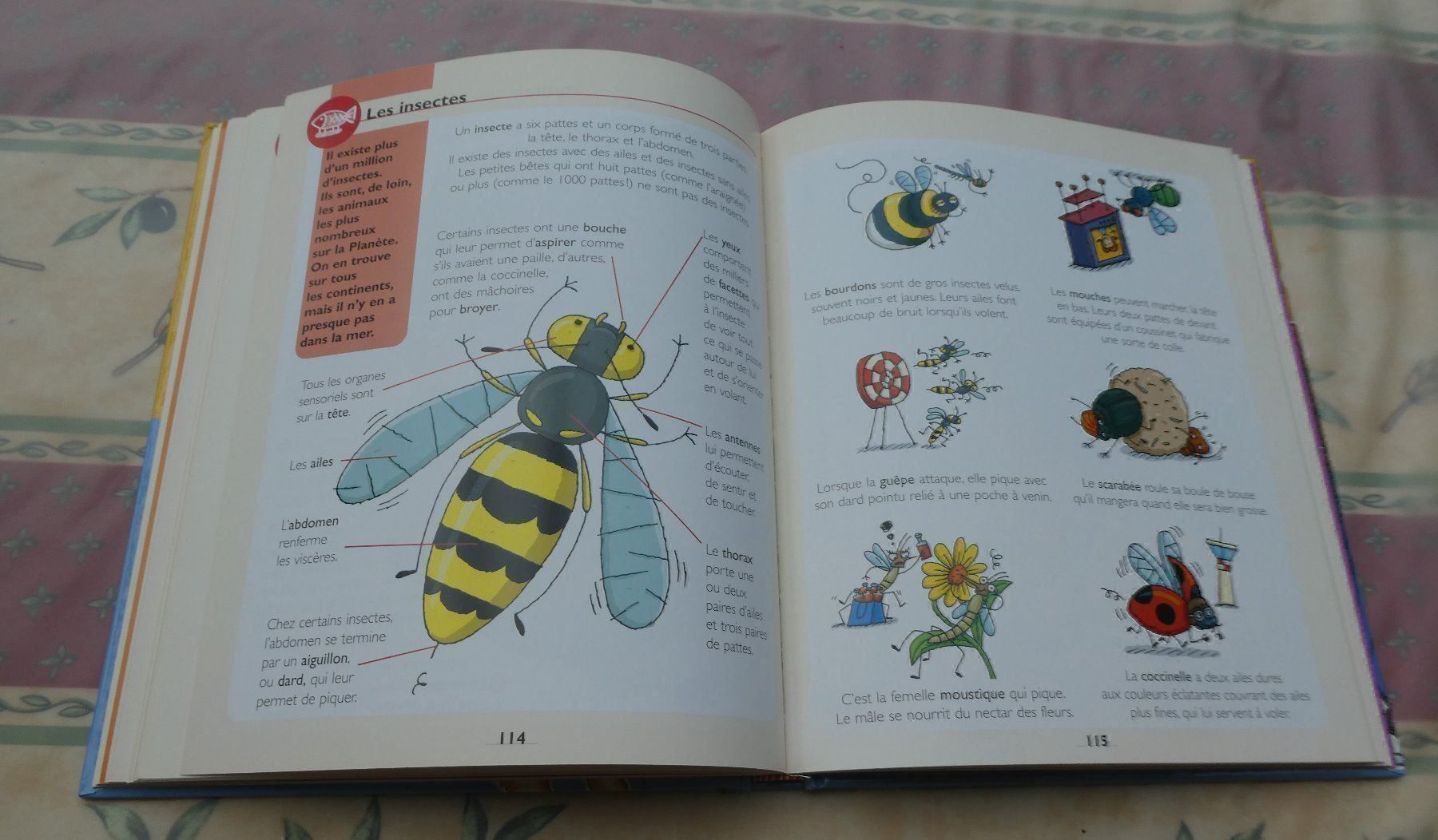 Libri: Encyclopédie illustrée – Nuovo (secondo la descrizione) da Troistorrents venduto da Marion70 2