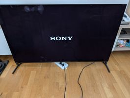 Sony BRAVIA OLED XR-55A95L Defekt!