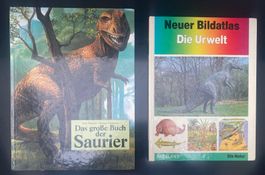 🦕🦖 Zwei Saurier-Bücher für kleine Entdecker! 🦕🦖